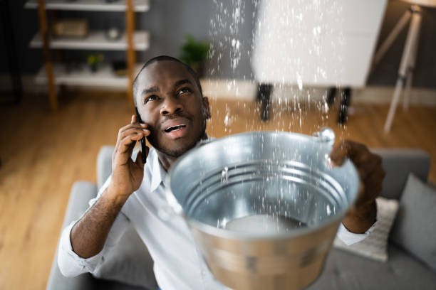 Best Professional water damage repair  in West Salem, WI