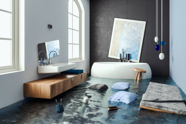 Best Water damage restoration mold remediation  in West Salem, WI