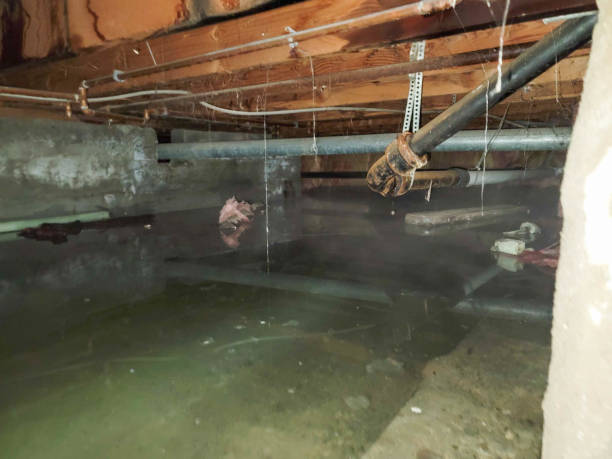 Best Emergency water damage restoration  in West Salem, WI
