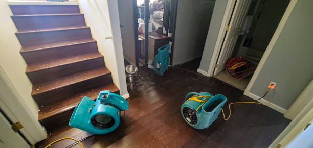 Best Fire Damage Restoration  in West Salem, WI