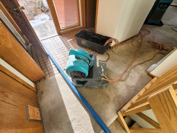 Best Water damage restoration near me  in West Salem, WI