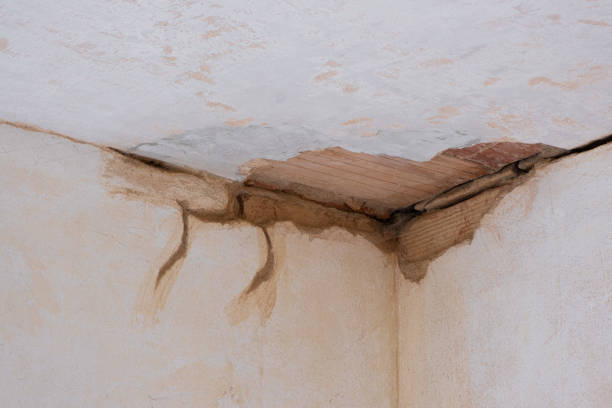 Best Ceiling water damage repair  in West Salem, WI