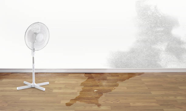 Best Water damage restoration near me  in West Salem, WI