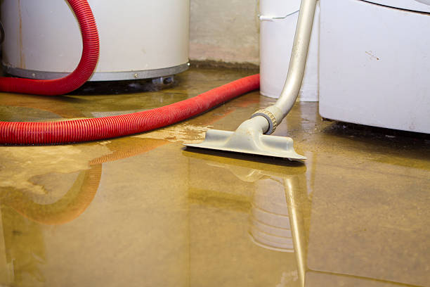 Best Water damage contractors near me  in West Salem, WI