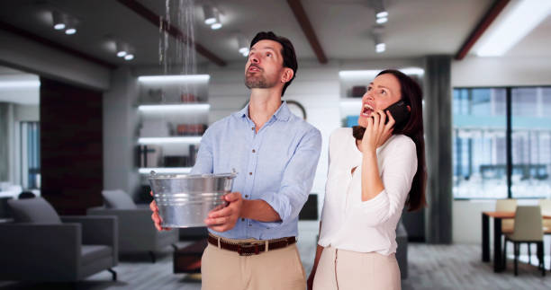 Best Mold removal after water damage  in West Salem, WI