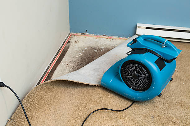  West Salem, WI Water damage restoration Pros